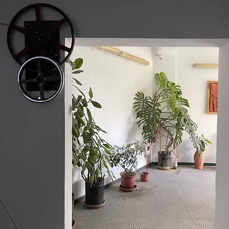 Flex アパート
